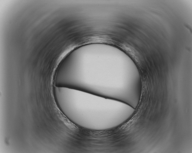 X0000097301427200802151112