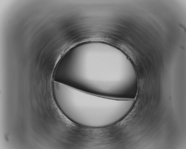 X0000097301428200802151112