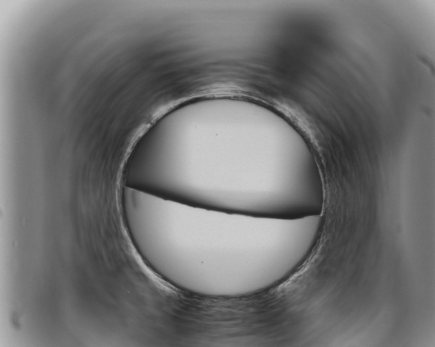 X0000097301429200802151112