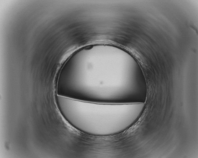 X0000097301430200802151112