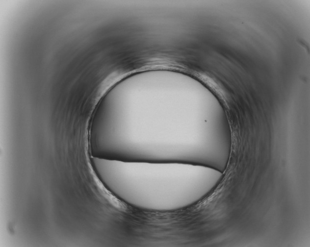 X0000097301431200802151112