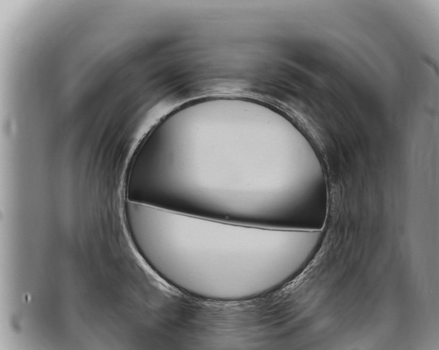 X0000097301432200802151112