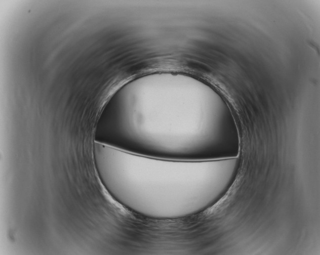 X0000097301433200802151112
