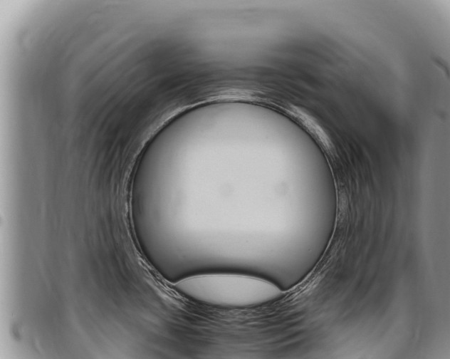 X0000097301435200802151112