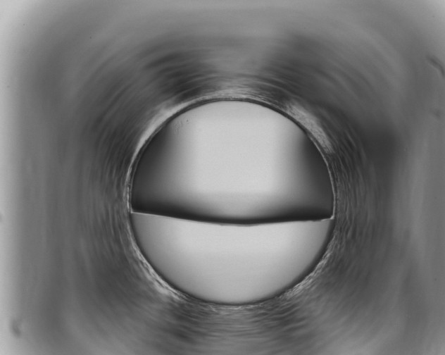 X0000097301436200802151112