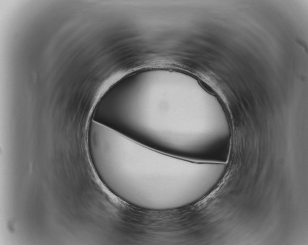 X0000097301437200802151112