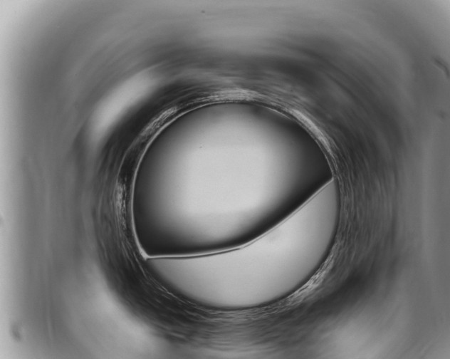 X0000097301438200802151112