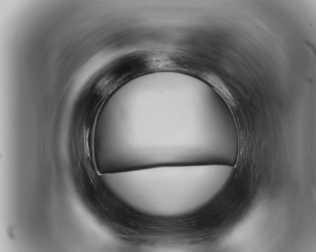 X0000097301439200802151112