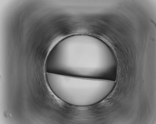 X0000097301440200802151112