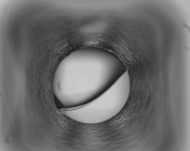 X0000097301441200802151111