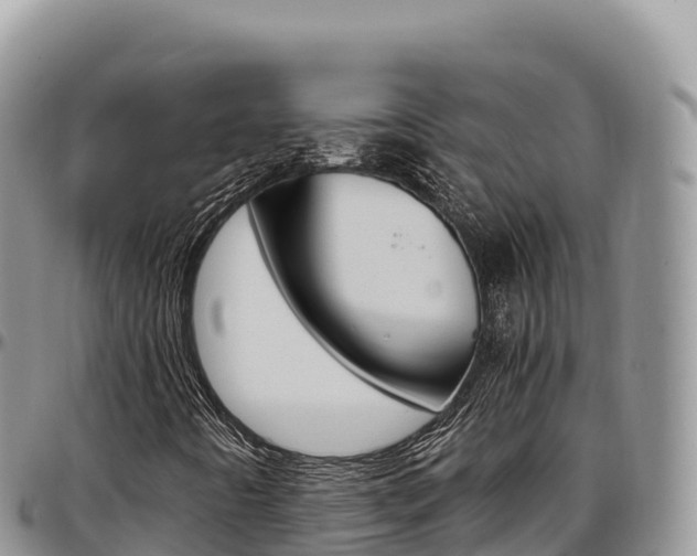 X0000097301442200802151111