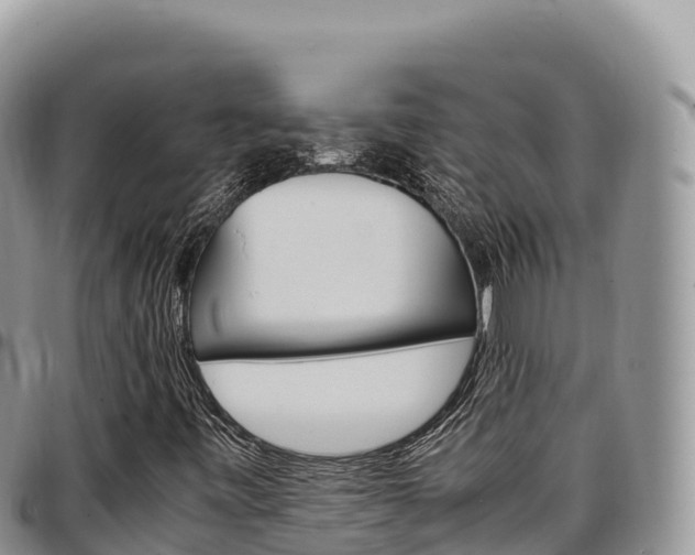 X0000097301443200802151111