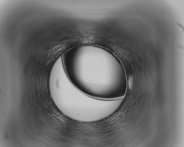X0000097301444200802151111