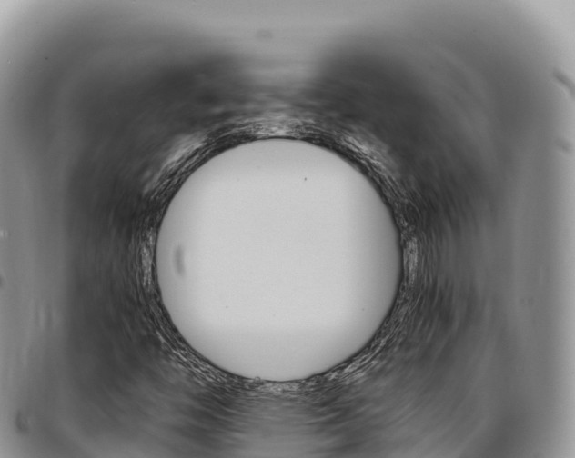 X0000097301446200802151111