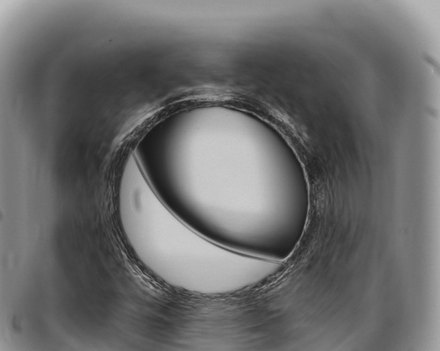 X0000097301448200802151111