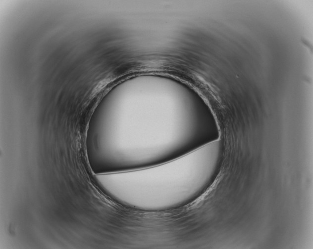 X0000097301449200802151111