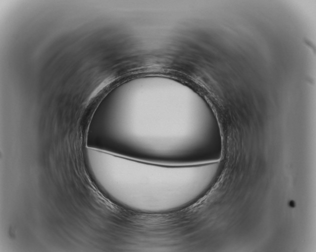 X0000097301450200802151111