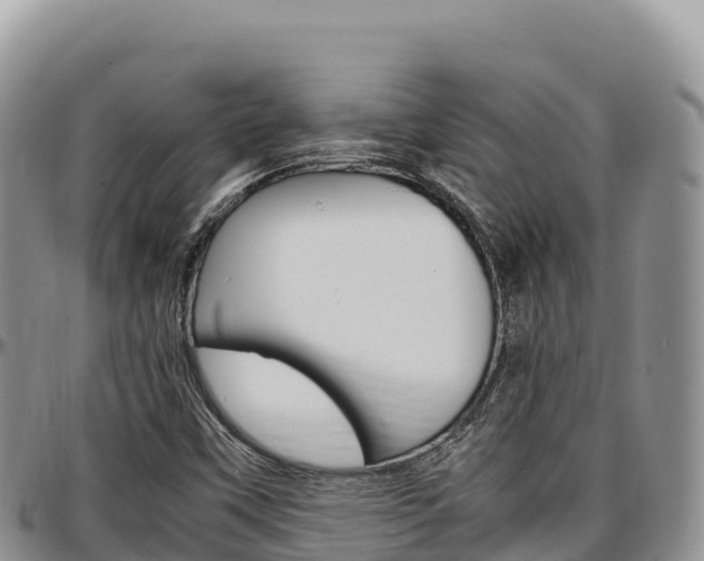 X0000097301451200802151111