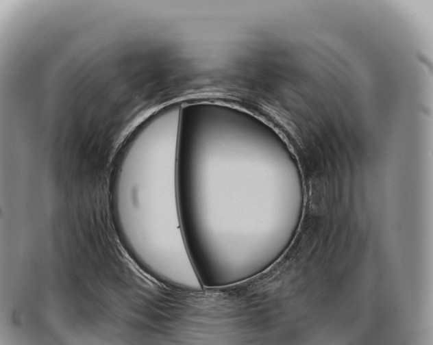 X0000097301452200802151111