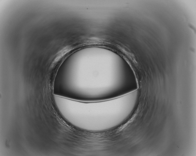 X0000097301453200802151111