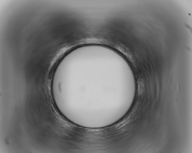 X0000097301454200802151111