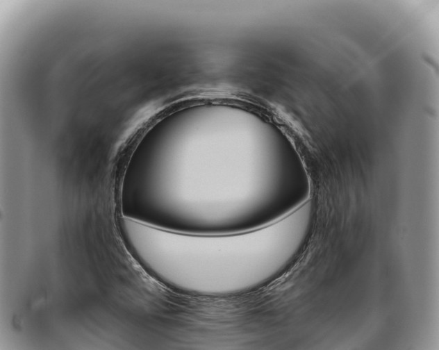X0000097301456200802151111