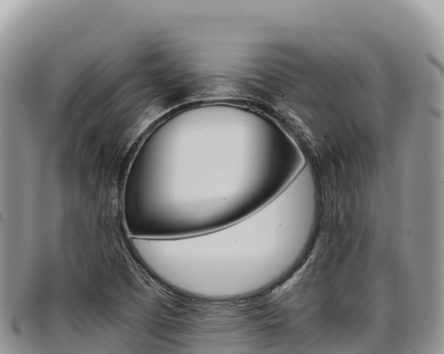 X0000097301457200802151111