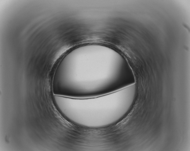 X0000097301458200802151111