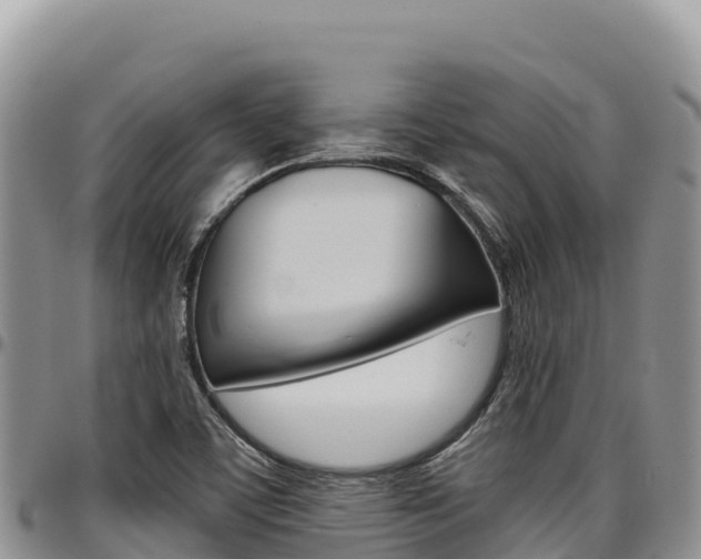 X0000097301459200802151111