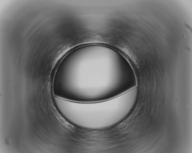 X0000097301460200802151111