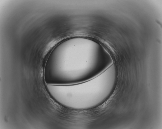 X0000097301461200802151111
