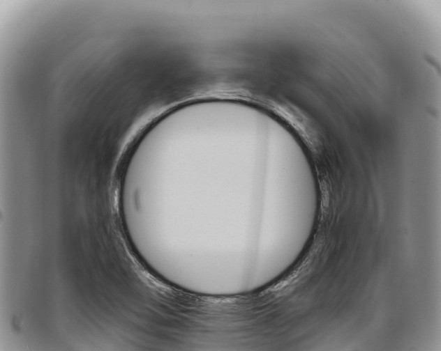 X0000097301462200802151111