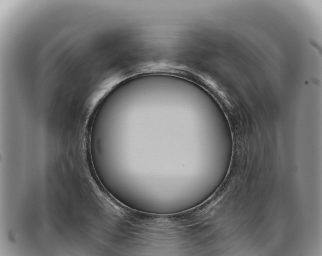 X0000097301463200802151111