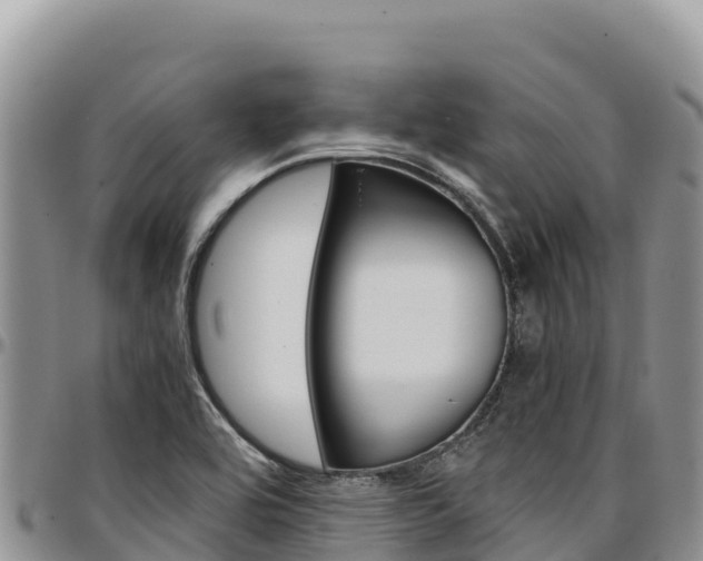 X0000097301464200802151111