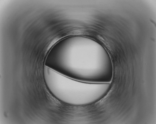 X0000097301465200802151111