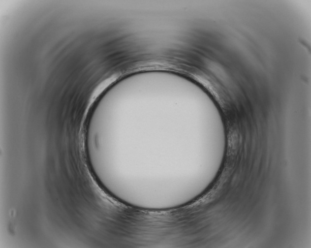 X0000097301466200802151111
