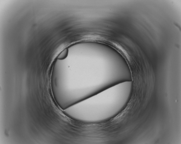 X0000097301467200802151111