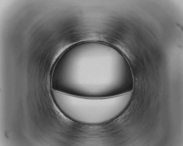 X0000097301468200802151111