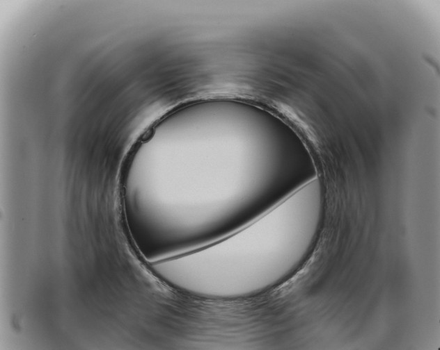 X0000097301469200802151111