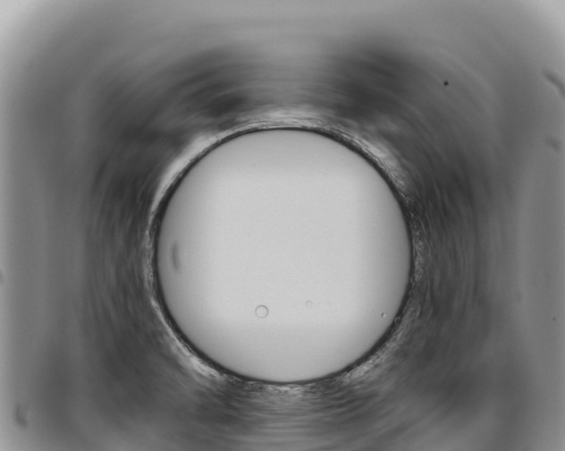 X0000097301470200802151110