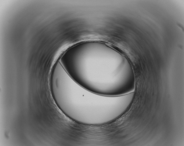 X0000097301472200802151110