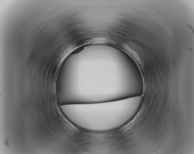 X0000097301473200802151110