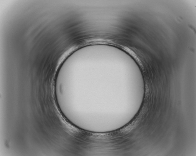 X0000097301474200802151110