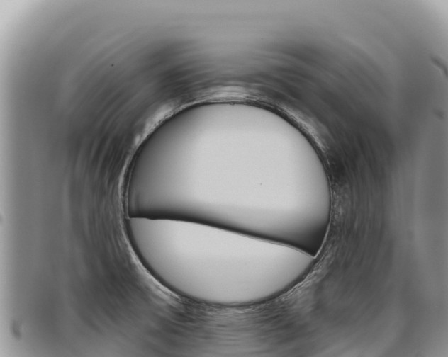 X0000097301475200802151110
