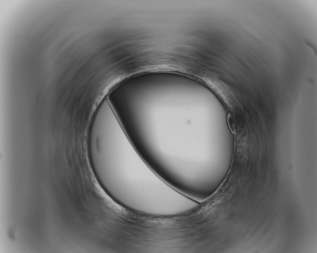 X0000097301476200802151110