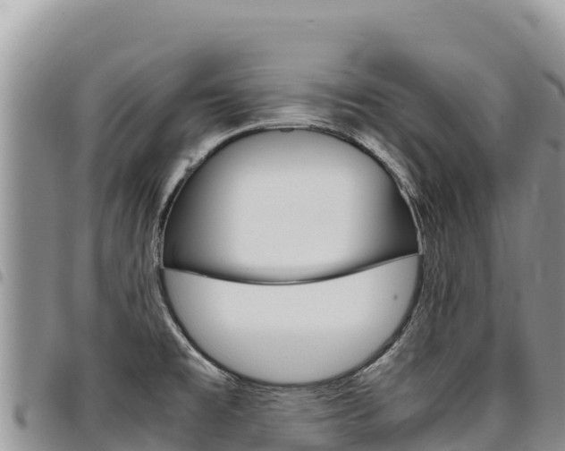 X0000097301477200802151110