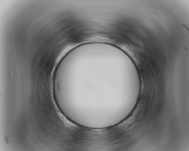 X0000097301478200802151110
