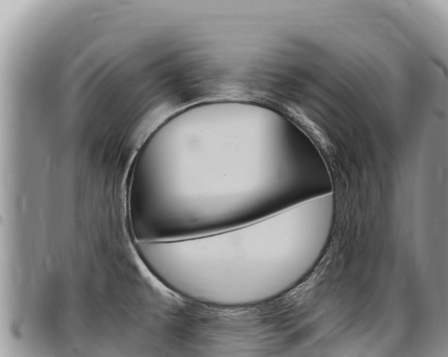 X0000097301479200802151110