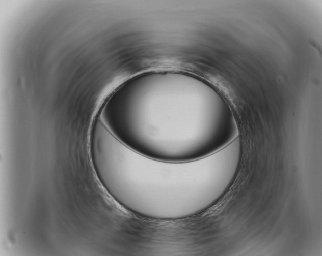 X0000097301480200802151110