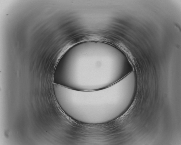 X0000097301481200802151110